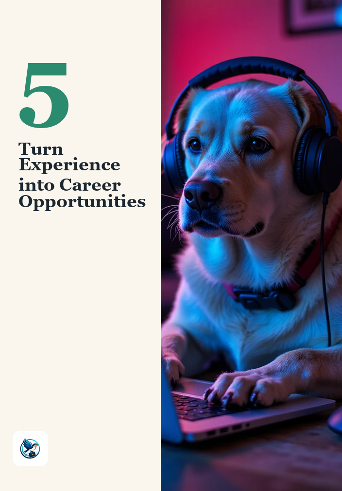 Gaining Valuable Experience When You Don’t Have a Degree